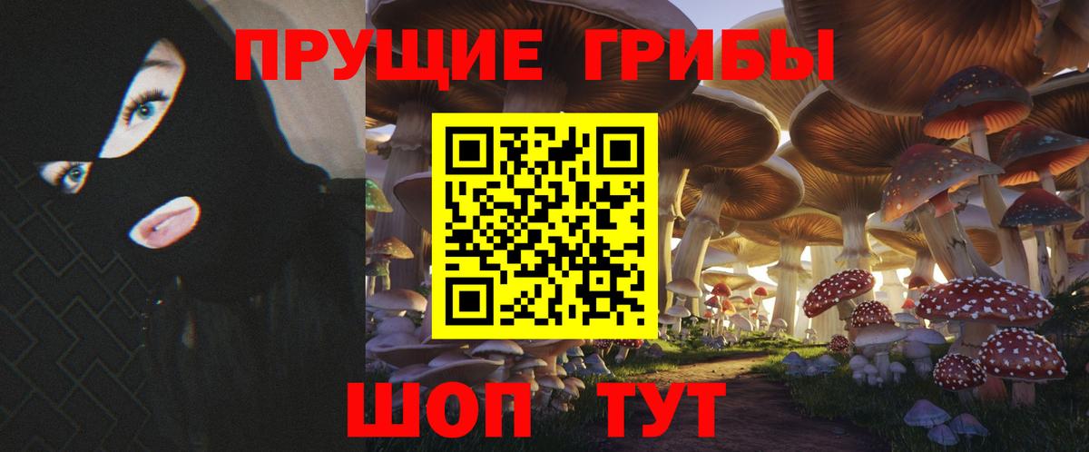 Галлюциногенные грибы мицелий Ноябрьск